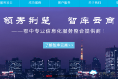 智库云商(荆门)信息技术有限公司官网改版上